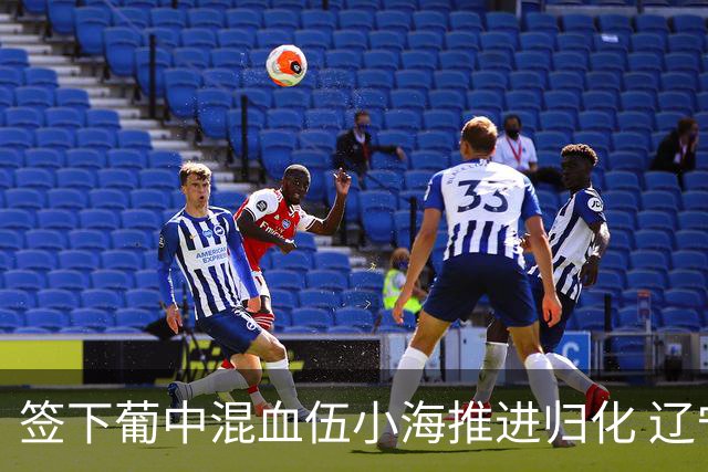 签下葡中混血伍小海推进归化 辽宁铁人中甲冲浪