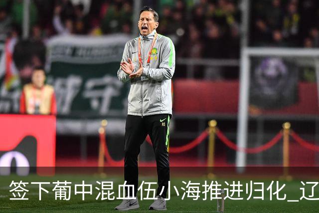 签下葡中混血伍小海推进归化 辽宁铁人中甲冲浪